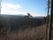 IMG_2501.JPG
