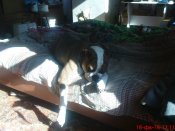 DSC04032.JPG