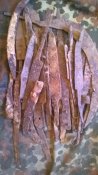 WP_20160218_039.jpg