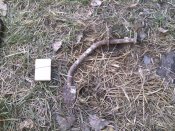 IMG_20160218_151238.jpg