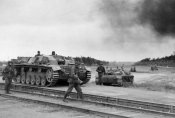 196111-474bc23a34fc5276ce33ce762cf9be1c.jpg