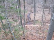 IMG_0141.JPG