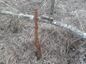 20160219_141457.jpg