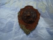 DSC08141.JPG