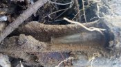 IMG_20160219_155644.jpg