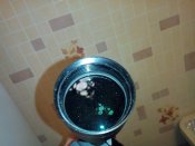 IMG_20160219_224854.jpg