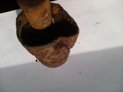 IMG_20160220_103658.jpg