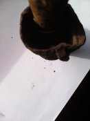 IMG_20160220_103736.jpg
