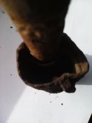 IMG_20160220_103743.jpg