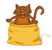 Кот в мешке.jpg