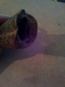 IMG_20160220_153325.jpg