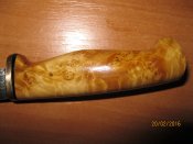 IMG_6233.JPG