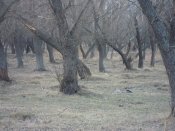 DSCN5074.JPG