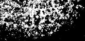 PicsArt_1456031822747-56031939.jpg