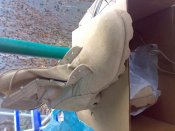 16112010017.jpg