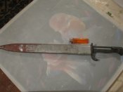 x_1710ec20.jpg
