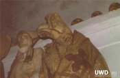 08200819mummy5325437ad9.jpg