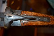 DSC_1363.JPG