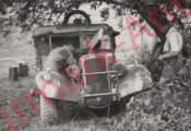 Snipe 8 cwt.jpg