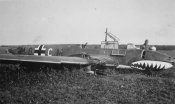 Bf_110_M8-CM_ZG76.jpg