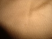 DSC09608.JPG