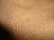 DSC09609.JPG
