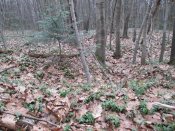 IMG_0151.JPG