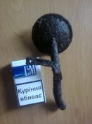 4CWiYG8RYAU.jpg