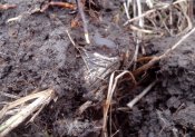 IMG_20160223_102007.jpg