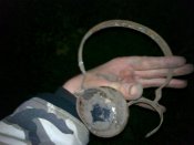 22112010059.jpg