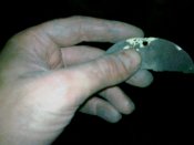 22112010061.jpg