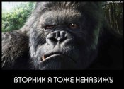 вторник.jpg