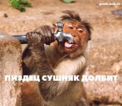 сушняк.jpg