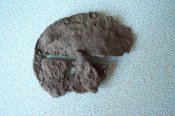 100_2595.jpg
