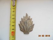 DSC04920.JPG