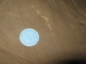IMG_0186.JPG