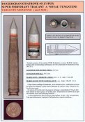 11FLADIA09.jpg