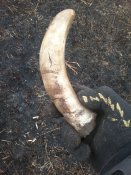 20160226_133057.jpg