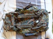 SDC16550.JPG