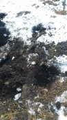 20160227_102138.jpg