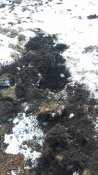 20160227_102141.jpg