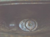 IMG00153.1.JPG