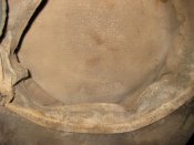 IMG_2243.jpg