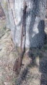 IMG_20160228_131235.jpg