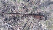 IMG_20160228_131252.jpg