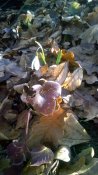 WP_20160228_005.jpg