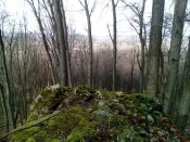IMG_20160228_143310.jpg