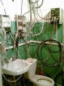 туалетдлякеснера.jpg