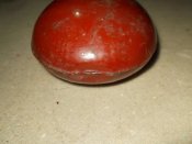 DSCN5423.JPG
