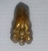 CAM00040.jpg